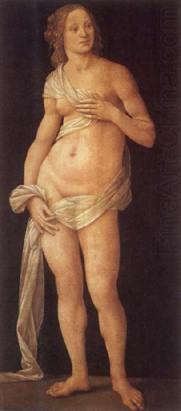 Venus, LORENZO DI CREDI